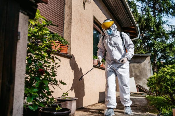 Professional Pest Control in Mims, FL